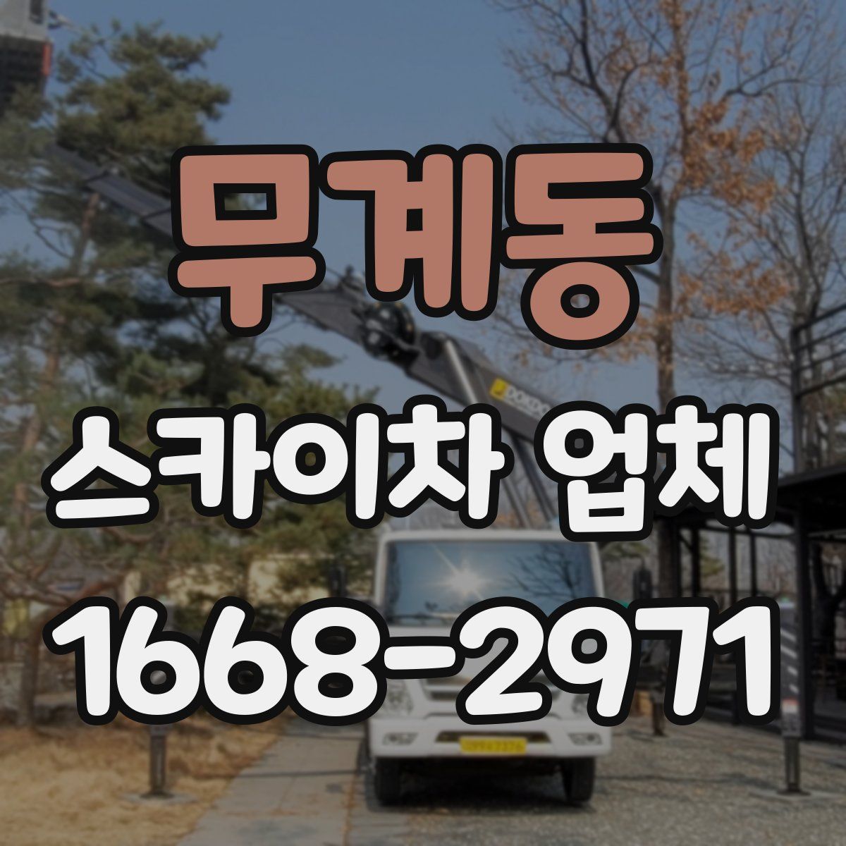 무계동 스카이차 업체