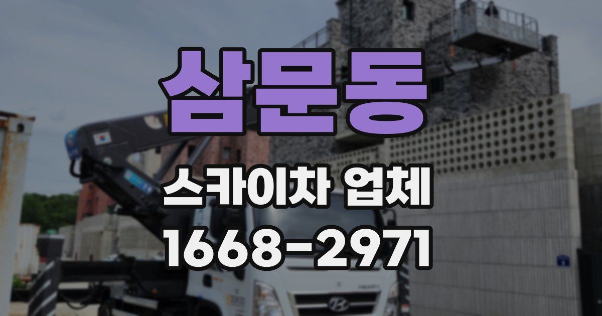 삼문동 스카이차 업체