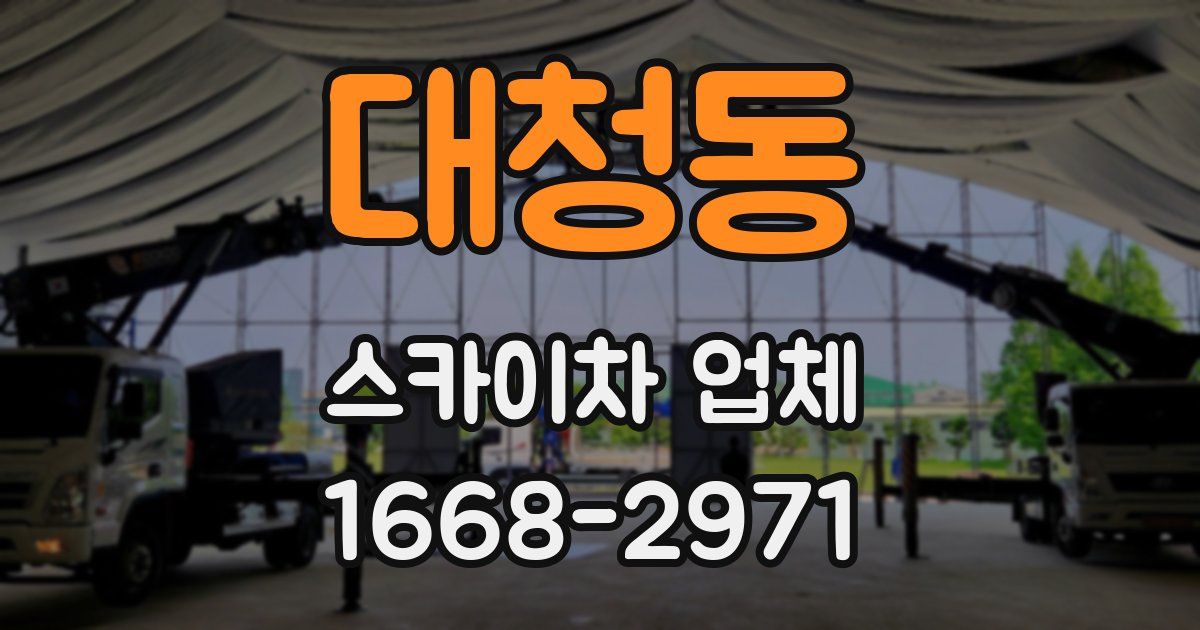 대청동 스카이차 업체