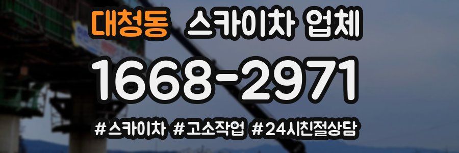 대청동 스카이차 업체