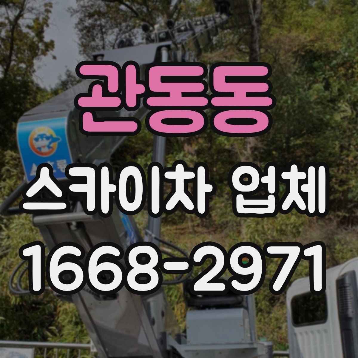 관동동 스카이차 업체