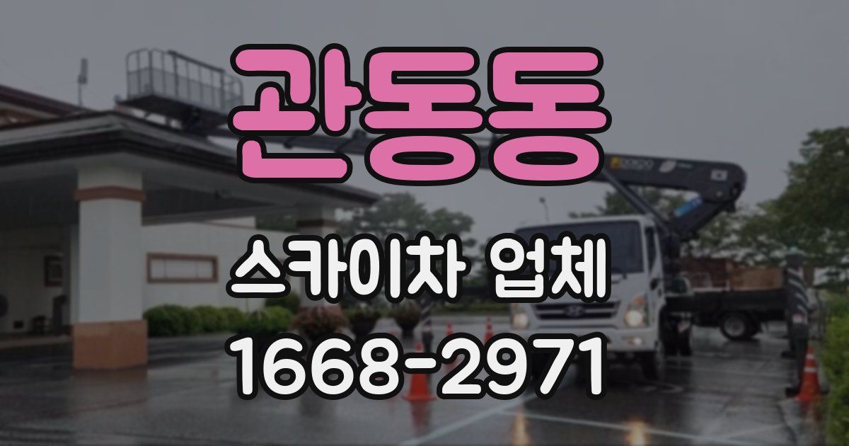 관동동 스카이차 업체