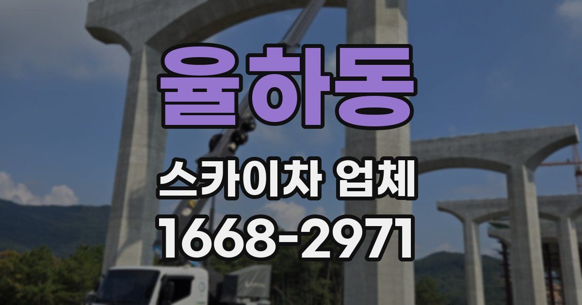 율하동 스카이차 업체