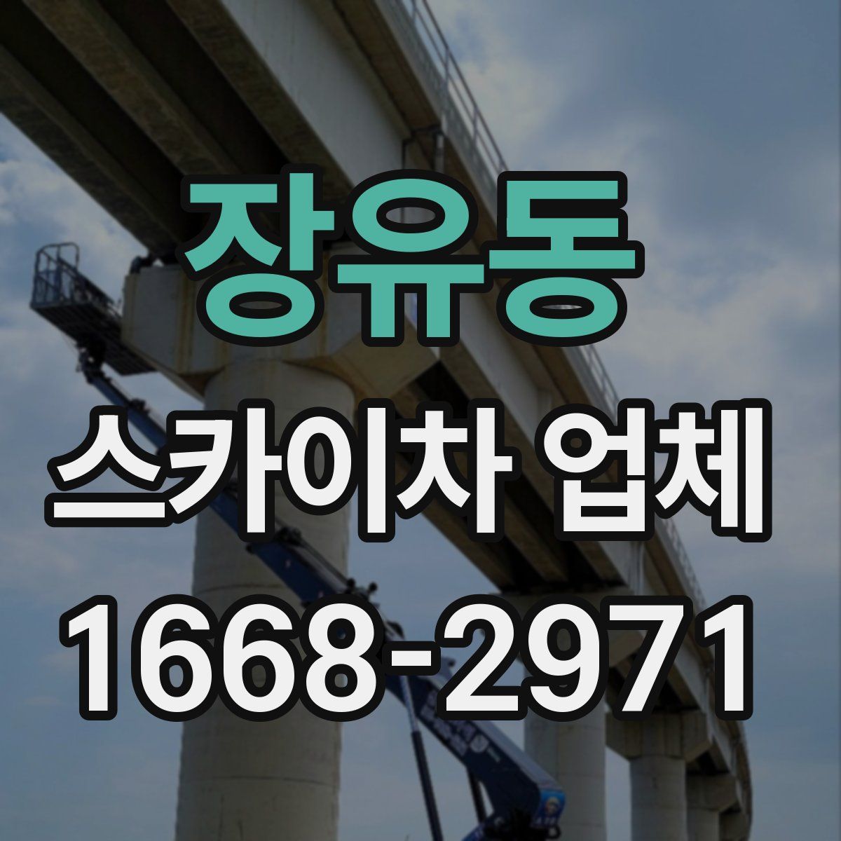 장유동 스카이차 업체