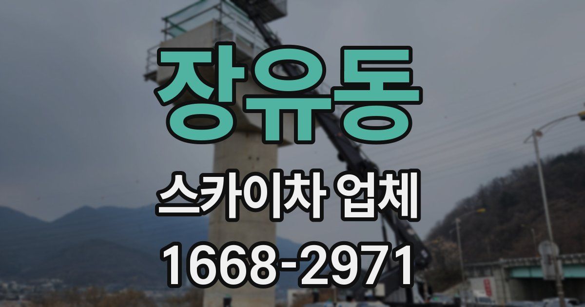 장유동 스카이차 업체