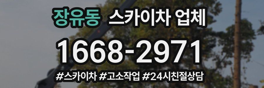 장유동 스카이차 업체