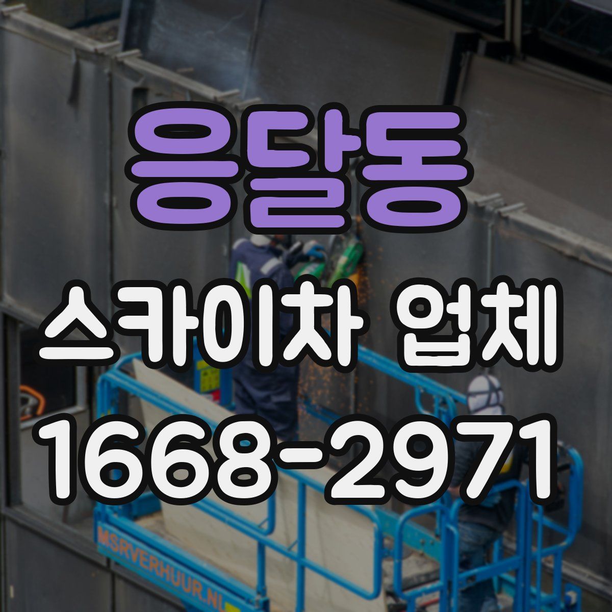 응달동 스카이차 업체