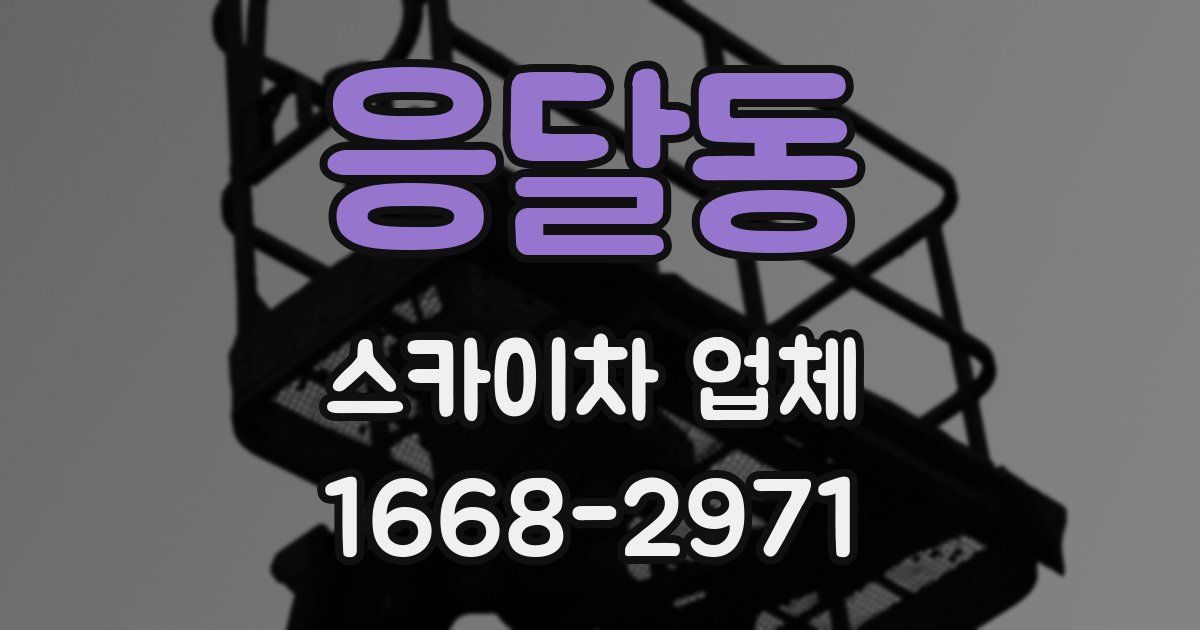 응달동 스카이차 업체