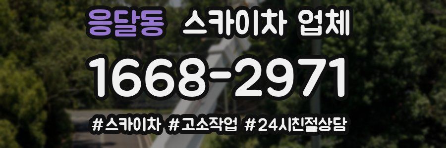 응달동 스카이차 업체