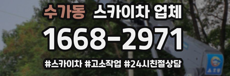수가동 스카이차 업체