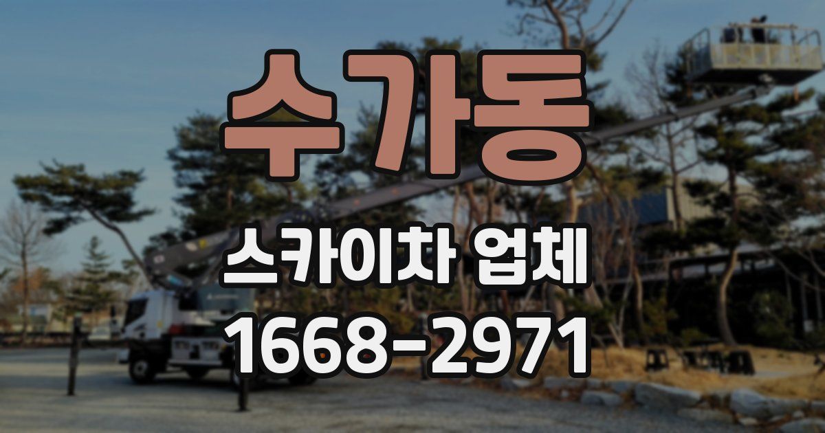 수가동 스카이차 업체