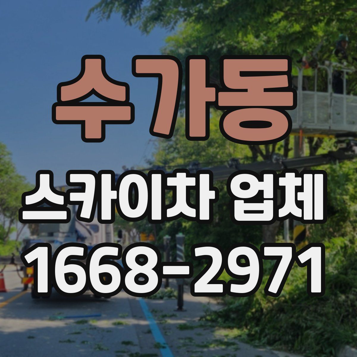 수가동 스카이차 업체