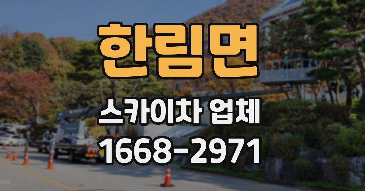 한림면 스카이차 업체