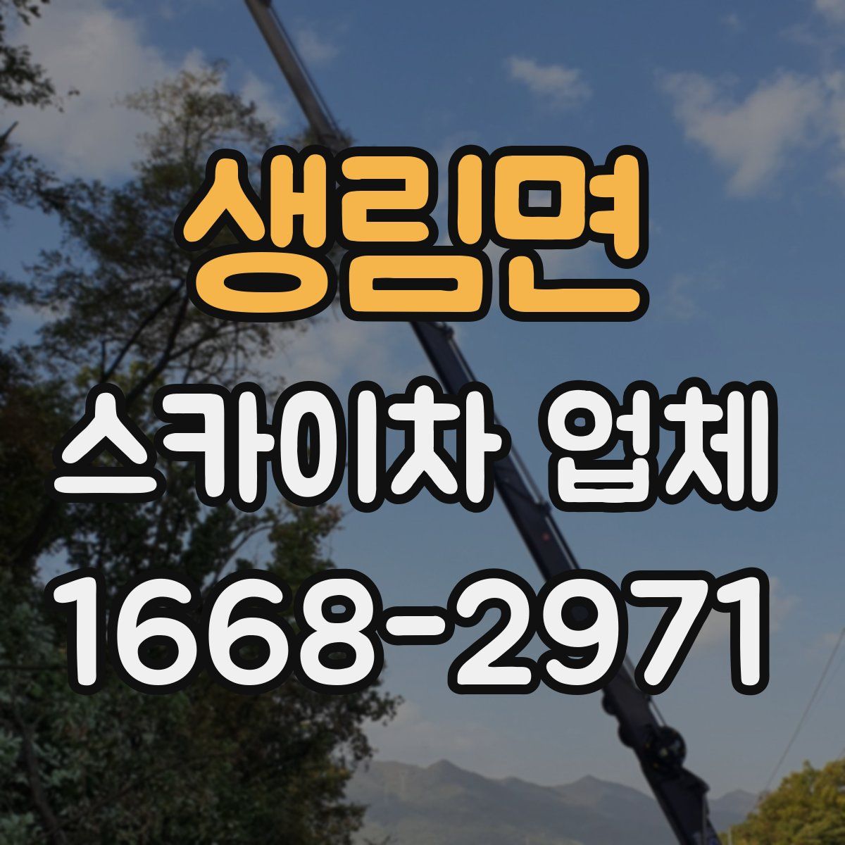 생림면 스카이차 업체