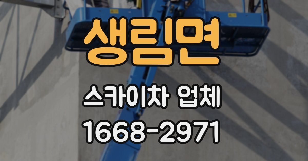 생림면 스카이차 업체