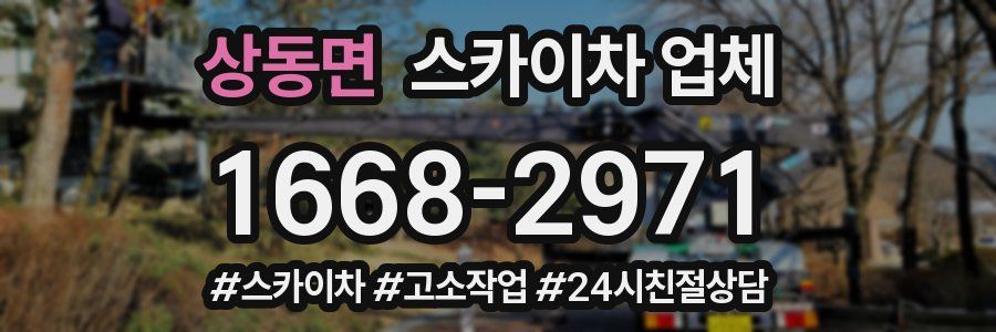 상동면 스카이차 업체