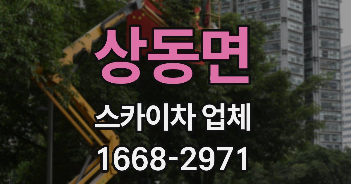 상동면 스카이차 업체