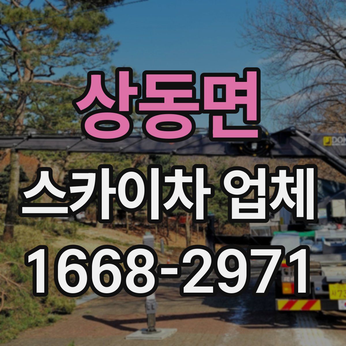 상동면 스카이차 업체