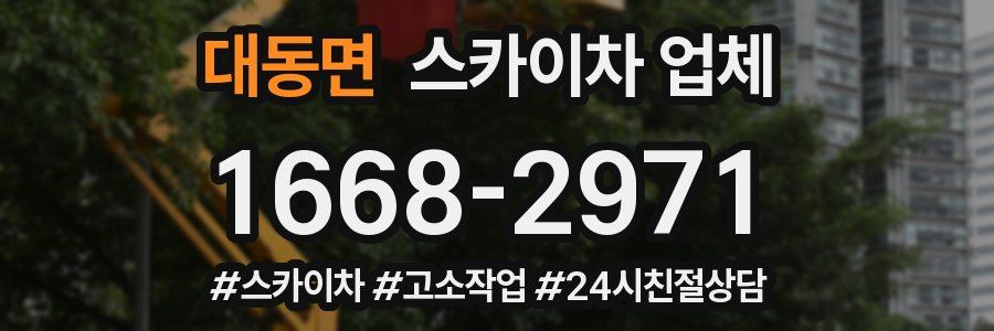 대동면 스카이차 업체