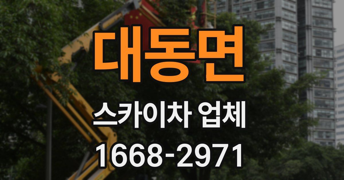 대동면 스카이차 업체