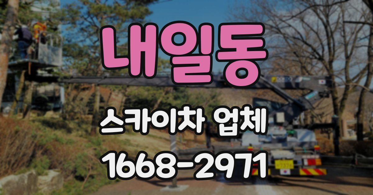 내일동 스카이차 업체