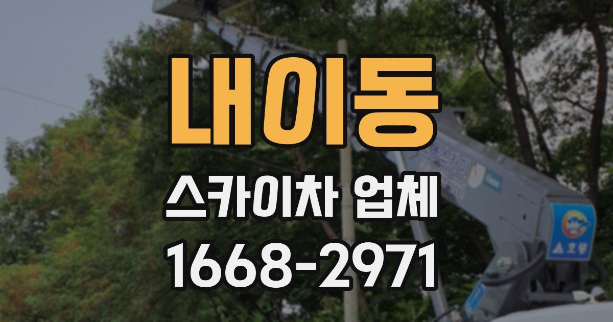 내이동 스카이차 업체