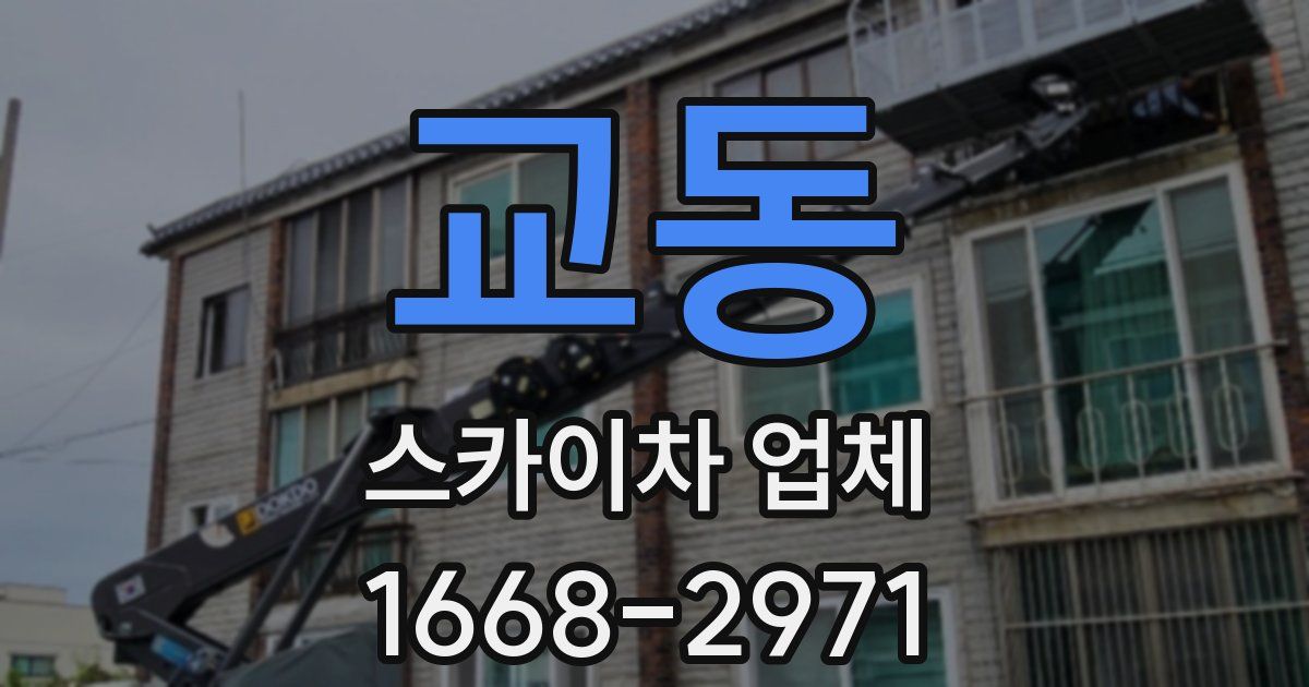 교동 스카이차 업체