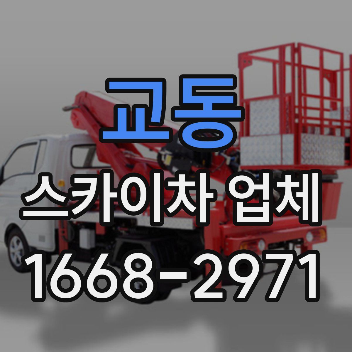 교동 스카이차 업체