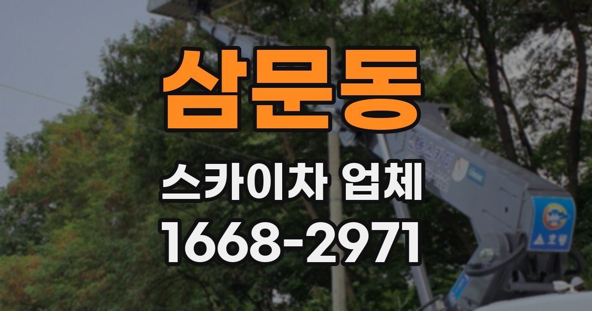 삼문동 스카이차 업체