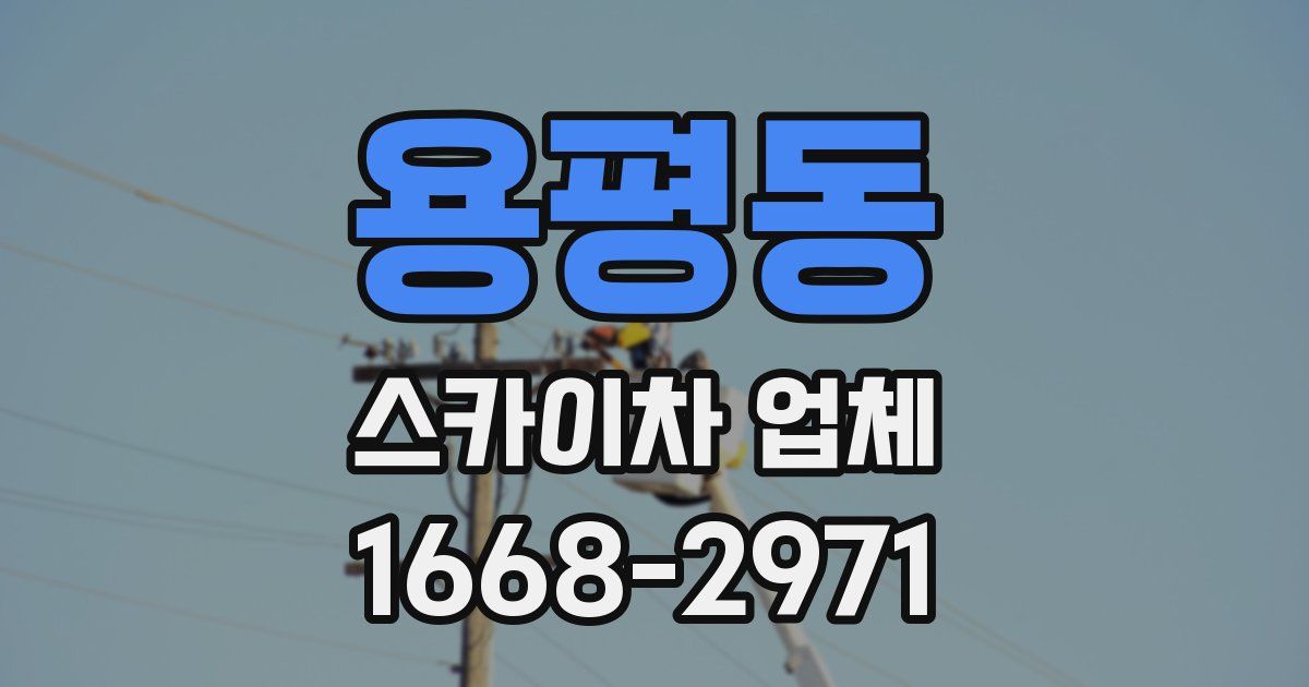 용평동 스카이차 업체