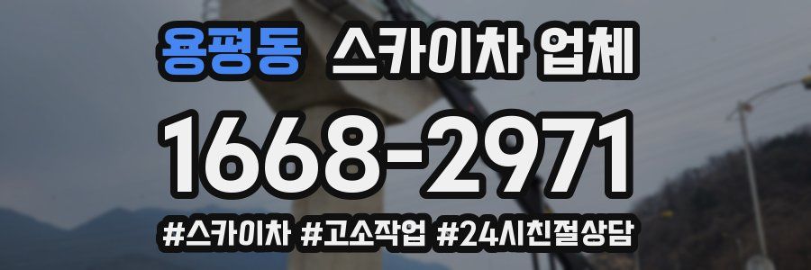 용평동 스카이차 업체