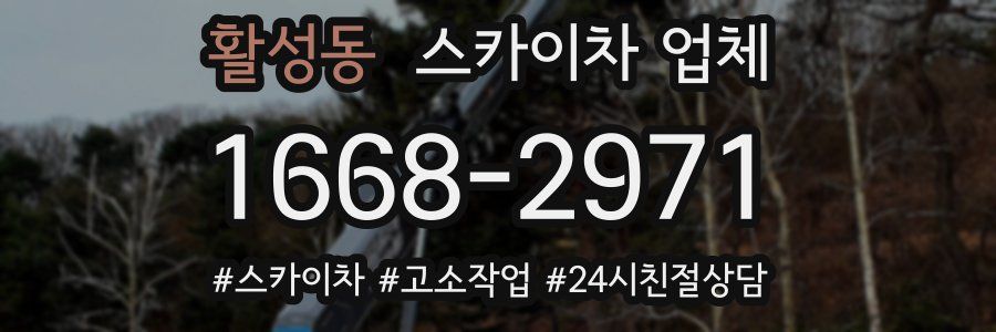 활성동 스카이차 업체