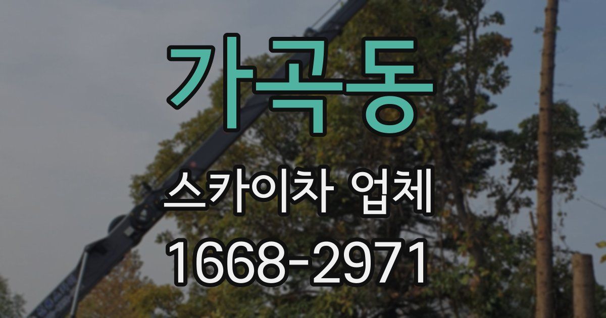 가곡동 스카이차 업체