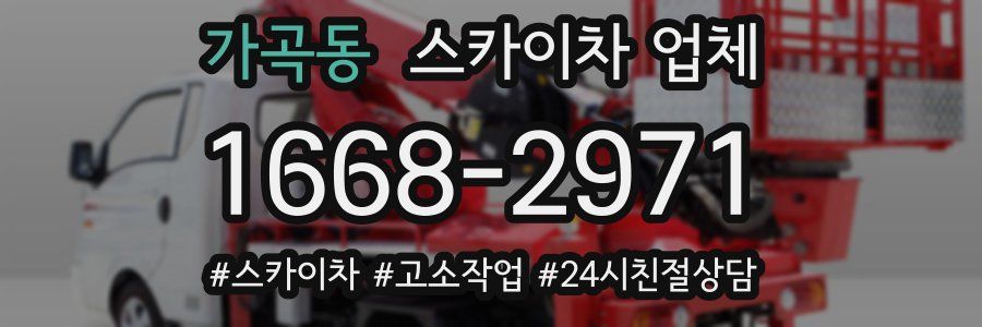 가곡동 스카이차 업체