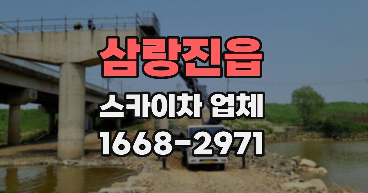 삼랑진읍 스카이차 업체