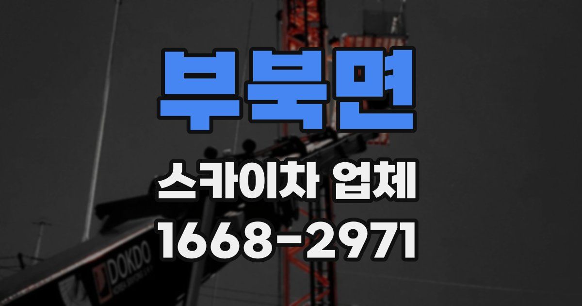 부북면 스카이차 업체