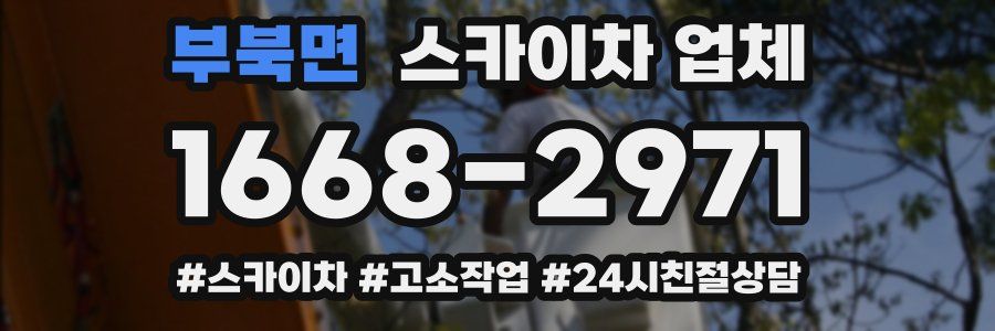 부북면 스카이차 업체