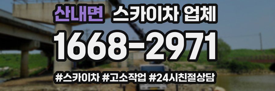 산내면 스카이차 업체