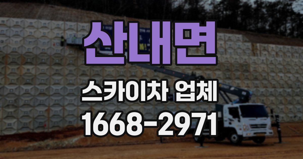 산내면 스카이차 업체
