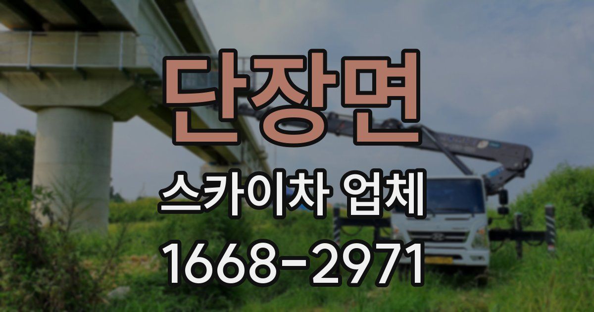 단장면 스카이차 업체