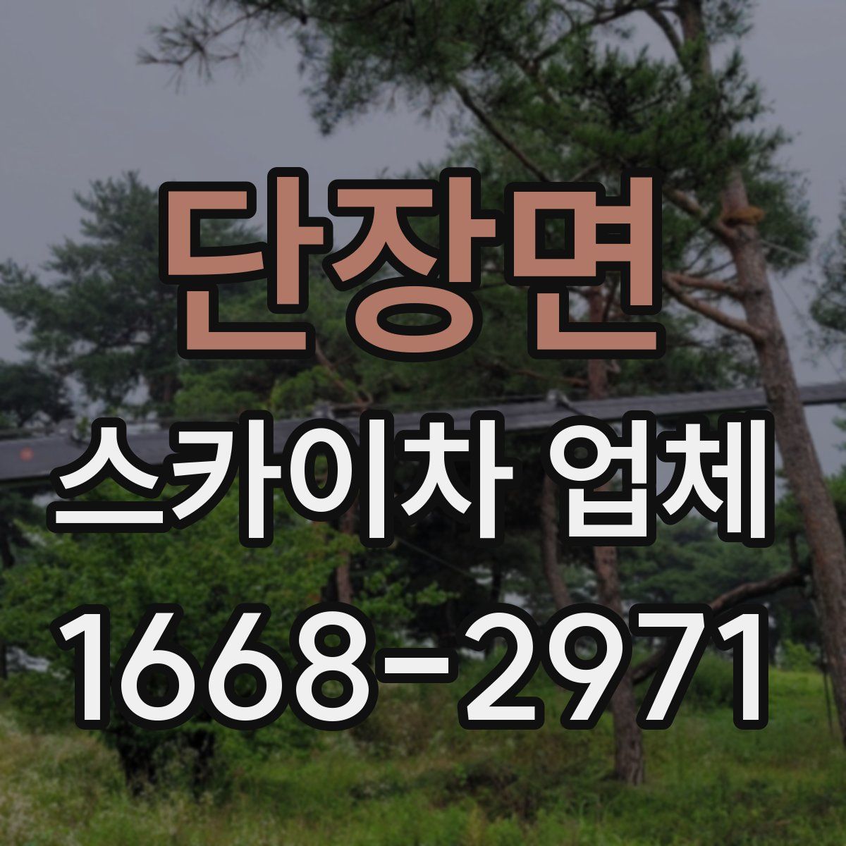 단장면 스카이차 업체