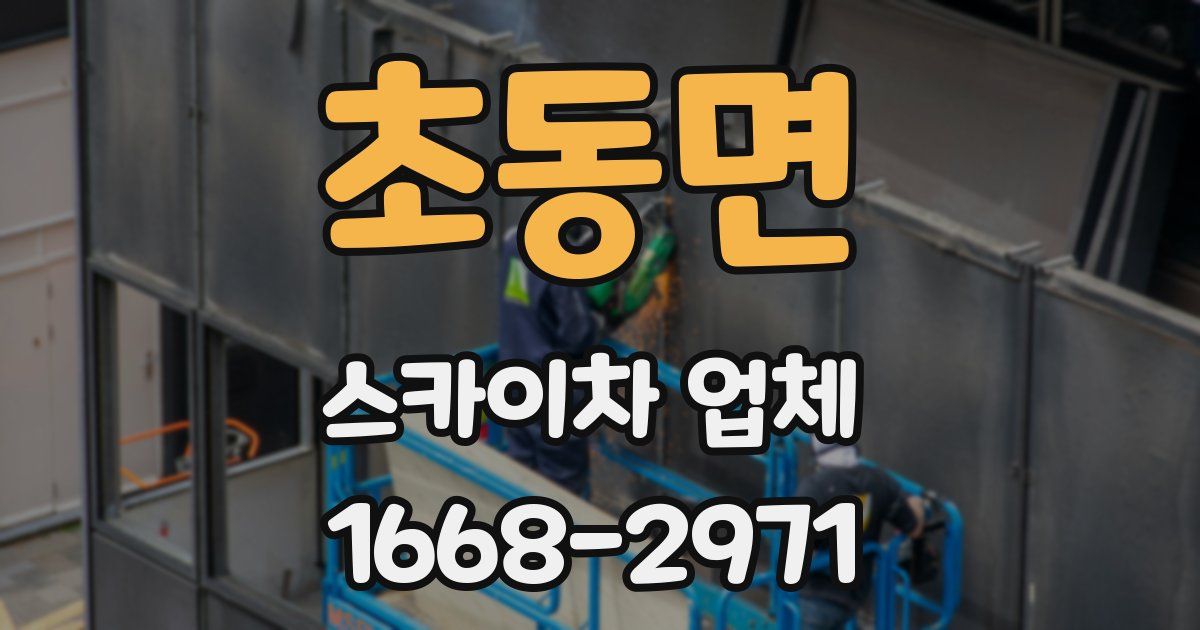 초동면 스카이차 업체
