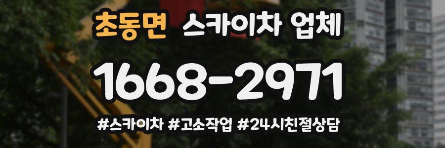 초동면 스카이차 업체