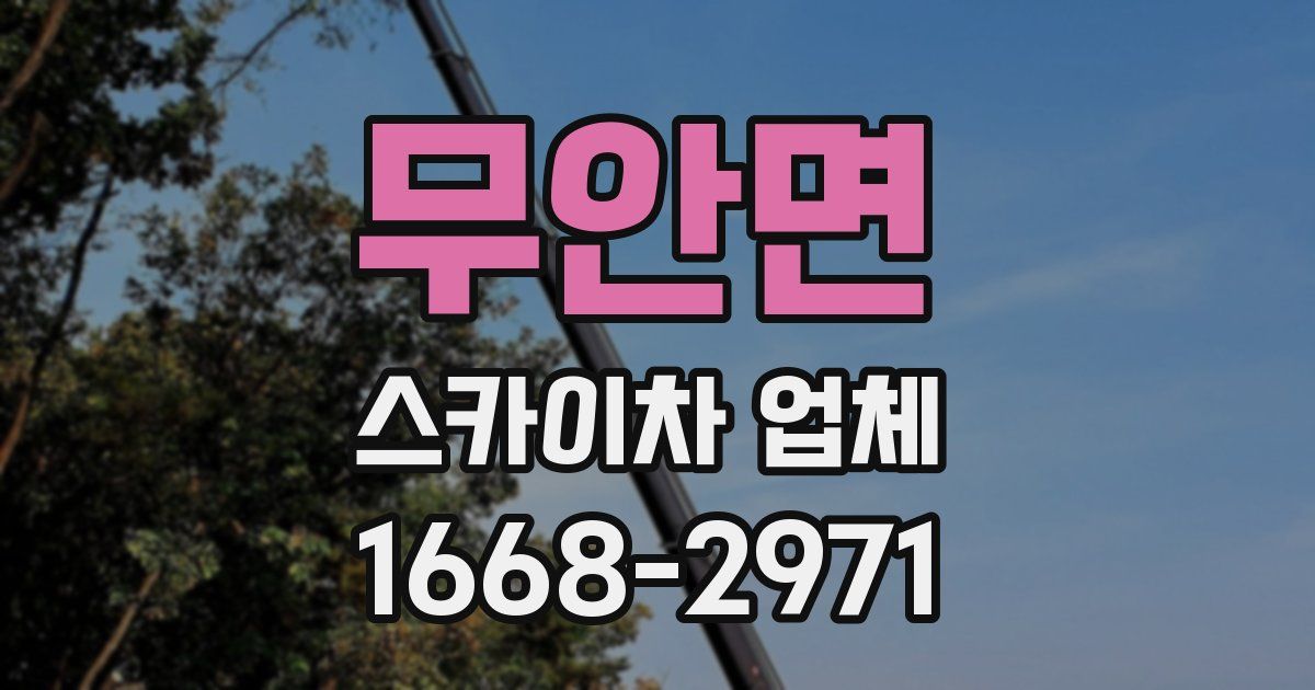 무안면 스카이차 업체