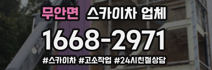 무안면 스카이차 업체