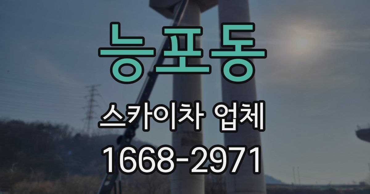 능포동 스카이차 업체