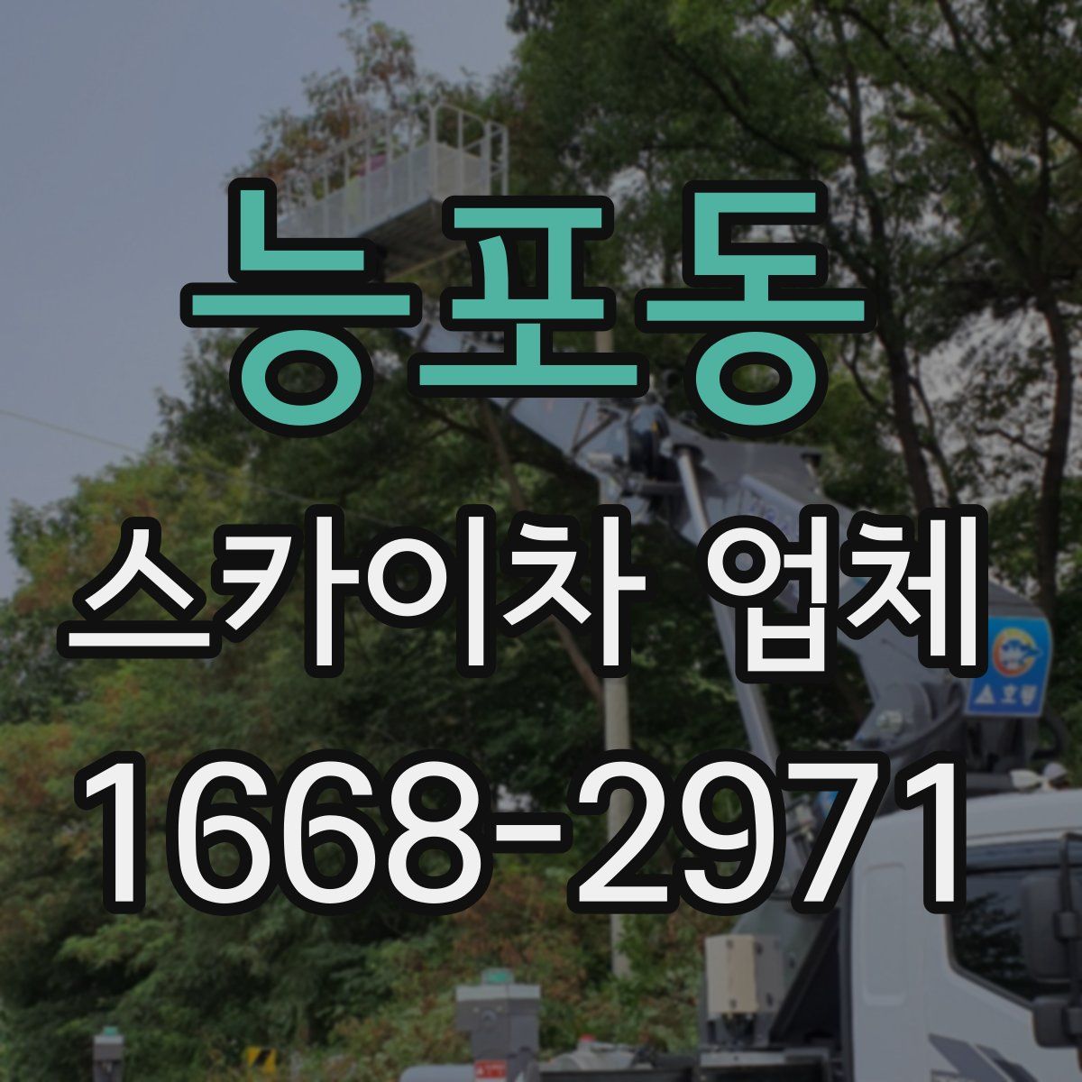 능포동 스카이차 업체