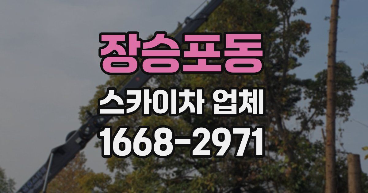 장승포동 스카이차 업체