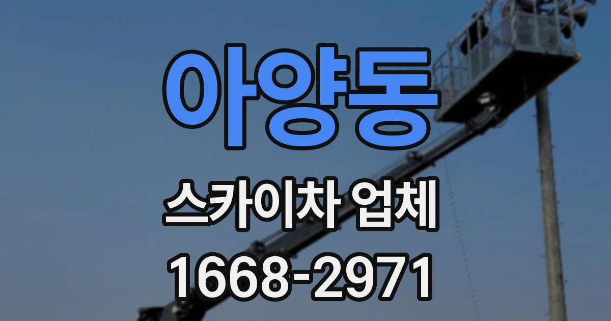 아양동 스카이차 업체