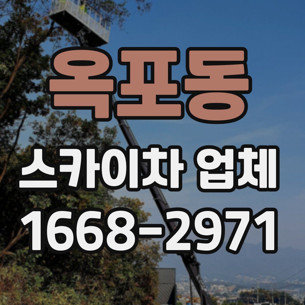 옥포동 스카이차 업체